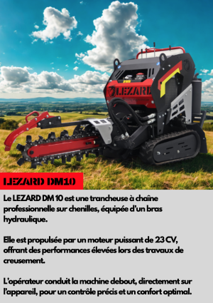 LIZARD DM10
