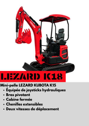 LIZARD K18