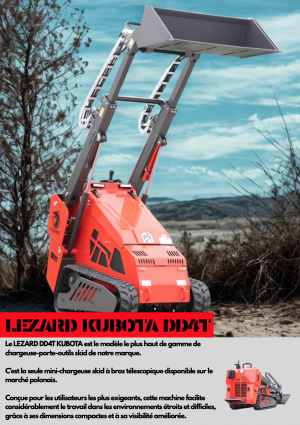 LIZARD KUBOTA DD41