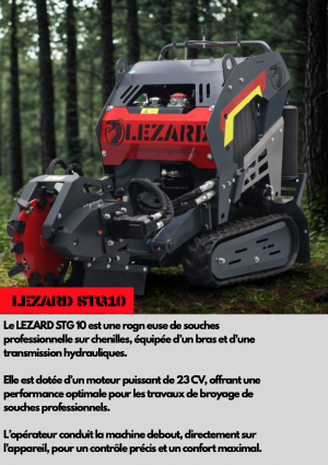 LIZARD STG10
